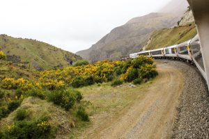 The Tranz Alpine fra Christchurch til Greymouth, New Zealand./ The Tranz Alpine from Christchurch to Greymouth, New Zealand.