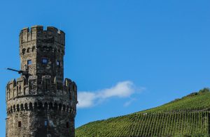 Turen med tog og båt på Rhinen i et nøtteskall: Borger og vinmarker
