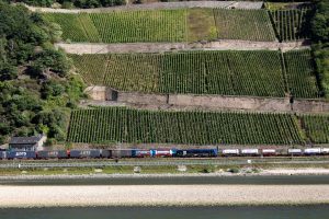 Dagens tema langs Rhinen: Vinmarker, tog og elv.