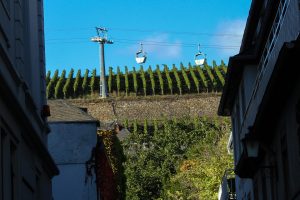 Vinrankene vokser helt ned i gatene her i Rüdesheim.