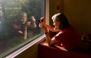 Alle som har prøvd å fotografere fra tog, vet at det er en tålmodighetsprøve. Mye kratt!