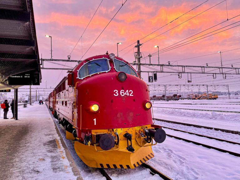 Stålvogntoget oppstilt på Hamar stasjon 23. januar 2023.