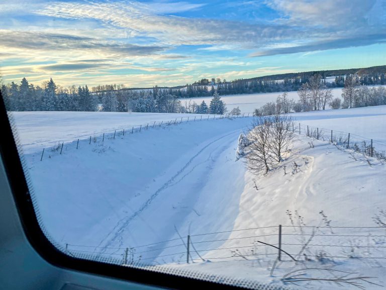 Utsikt gjennom vinduet underveis på reisen med tog til Stockholm.