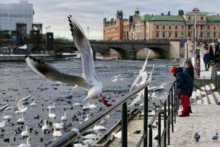 Stockholm har alt, inkludert god togforbindelse med Oslo. En bloggpost om helgetur til den svenske hovedstaden ble årets mest leste på Togbloggen.