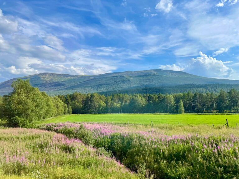 Lesjaskog fotografert fra Raumabanen.
