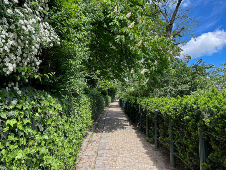 Fra gamlebyen er det en fin og grønn tur opp til Špilberk slott.